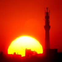 東京スカイツリーと日の出