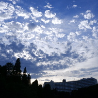 DSCF0904