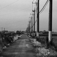 CANON(キヤノン)のフィルムカメラAutoboy SII XL で撮影した写真(画像