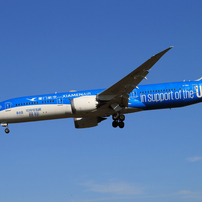 「群青色」アモイ 特別塗装機 787-9   Landing