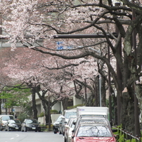 【作例あり】Canon PowerShot SX210 IS Canon PowerShot SX210 IS Digital Camera - YouTube