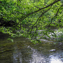 KYOCERA(京セラ)のデジタルカメラCONTAX Tvs DIGITAL で撮影した写真