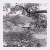 ROLLEI(ローライ)のフィルムカメラRolleiflex SL66 で撮影した