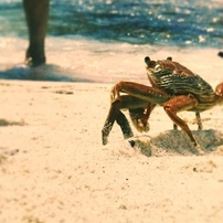 FUJIFILM(富士フイルム)のデジタルカメラFinePix XP90 で撮影した写真