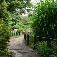 TAMRON(タムロン)のレンズ AF 28-300mm F3.5-6.3 XR Di LD