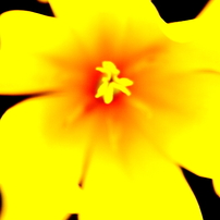 flower-002