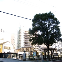 船橋　夕方その１
