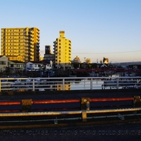photo_980759