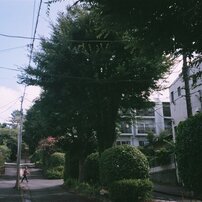 動作️⭕️ 作例ありOlympus μ Zoom 105 フィルムカメラ フィルムカメラ】私のミューズ｜オリンパス μ ZOOM 105｜もんぶらん