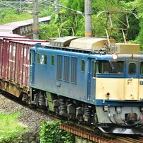 NIKON(ニコン)のレンズ AF-S NIKKOR 200-400mm f/4G ED VR II で撮影