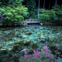 TAMRON(タムロン)のレンズ SP AF 17-35mm F/2.8-4 Di LD