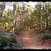 FUJIFILM(富士フイルム)のデジタルカメラDS-20 で撮影した写真