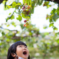 Cosina コシナ のレンズ Carl Zeiss Planar T 1 4 50 Ze で撮影した写真 画像 一覧 写真共有サイト Photohito