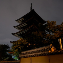 Fujifilm 富士フイルム のレンズ フジノンレンズ Xf16mmf2 8 R Wr シルバー で撮影した写真 画像 一覧 写真共有サイト Photohito