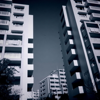 MONO