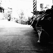 KODAK(コダック)のデジタルカメラKODAK EASYSHARE Camera, M532 で撮影