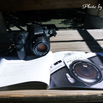 Panasonic LUMIX DMC-TZ20 デジカメ美品CCD 作例 Panasonic LUMIX DMC-TZ20 デジカメ美品CCD 作例