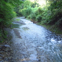南秋川の流れ