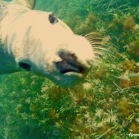 OLYMPUS(オリンパス)のデジタルカメラμ-25 DIGITAL で撮影した写真