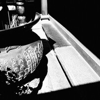 KODAK(コダック)のデジタルカメラKODAK EASYSHARE Camera, M532 で撮影