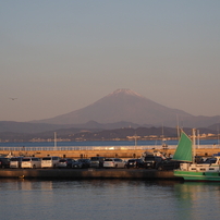江ノ島からの朝富士