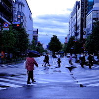 TAMRON(タムロン)のレンズ AF 24-135mm F/3.5-5.6 AD ASPHERICAL [IF