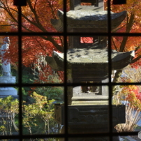 NIKON(ニコン)のレンズ Ai AF-S Zoom Nikkor ED 80-200mm F2.8D(IF