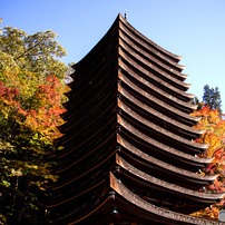 談山神社の紅葉