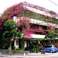 CANON(キヤノン)のデジタルカメラIXY DIGITAL 60 で撮影した写真(画像