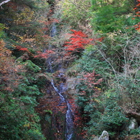 三瀧寺　令和2年秋