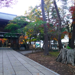 寺 風景