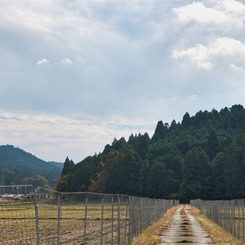 日本100名 No.21 古宮城址