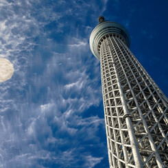 1月のカレンダーに