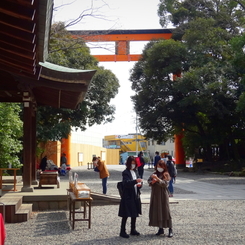  【お散歩スナップ】川越氷川神社にて2021年3月9日 