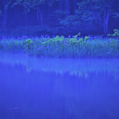 水辺の魔術　１