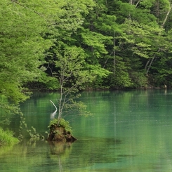 静かな水面