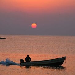 夕日