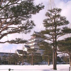 茶室前より　１