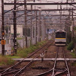 鶴見線の風景