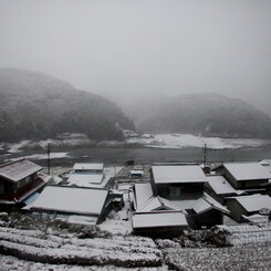 太郎の屋根に