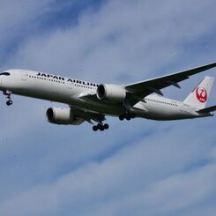 JAL 265