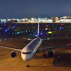 ANA 239