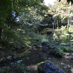 殿ヶ谷戸庭園Ⅱ