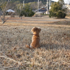 何思う･･･