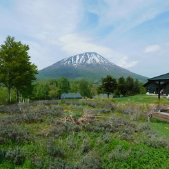 北海道真狩村～羊蹄山０４