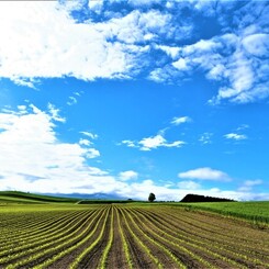 大空の元で