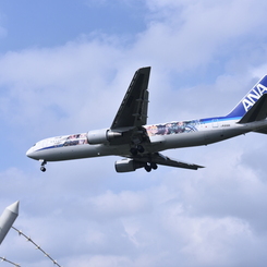 ANA 564