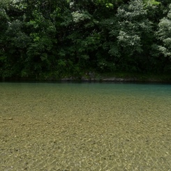 夏の川