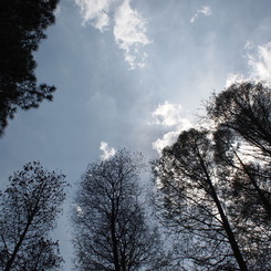 う～ん、空