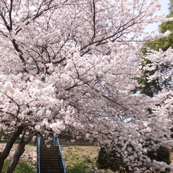 DSCF7747